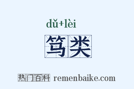 笃类是什么意思的图片